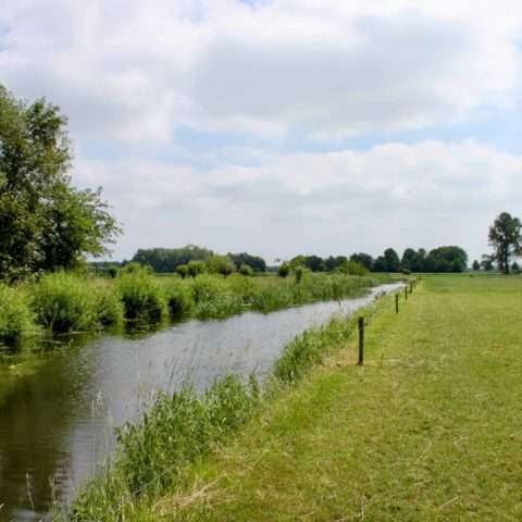 polder Nijbroek water weiland